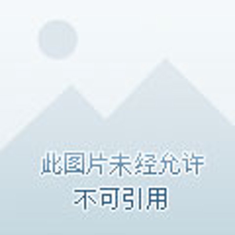 武夷岩茶肉桂，究竟有何魅力？